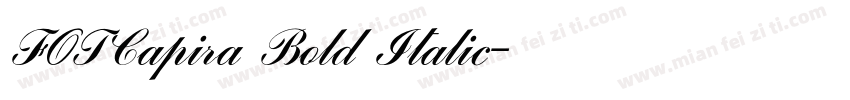 FOTCapira Bold Italic字体转换